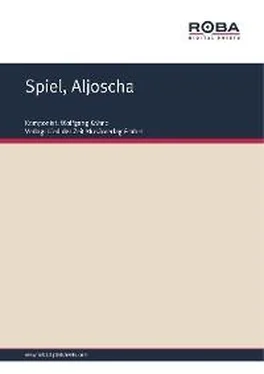 Wolfgang Kähne Spiel, Aljoscha обложка книги