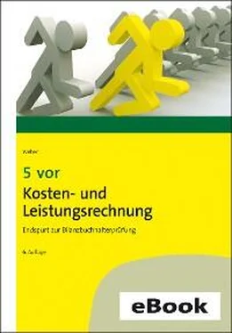 Martin Weber 5 vor Kosten- und Leistungsrechnung обложка книги