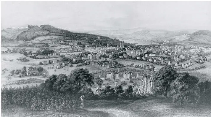 Blick vom Rychenberg auf die sich ausdehnende Stadt vorne der Friedhof Im Lee - фото 4