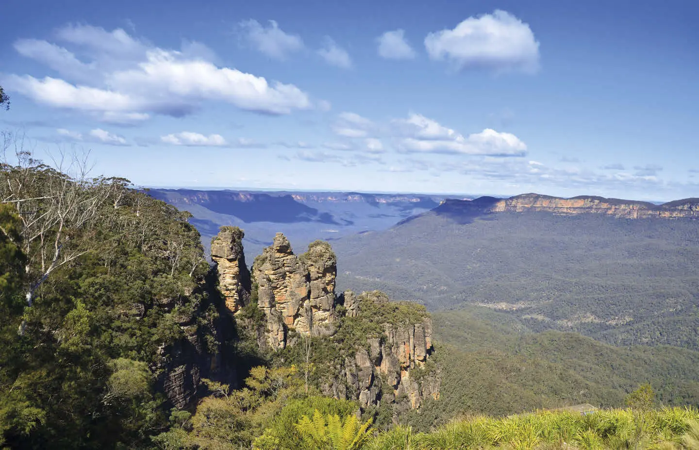 Eukalyptus und blauer Dunst die Blue Mountains Australien es ist ein - фото 17