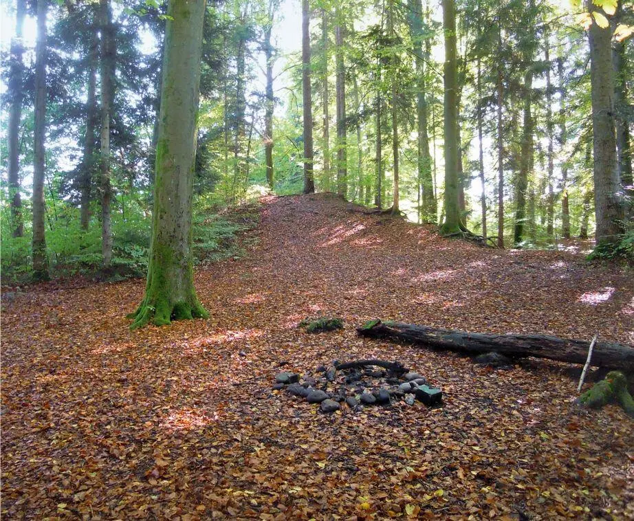 Abb 6Die urgeschichtliche Wallanlage ist im Gelände über weite Strecken leicht - фото 8