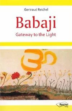 Gertraud Reichel Babaji - Gateway to the Light обложка книги