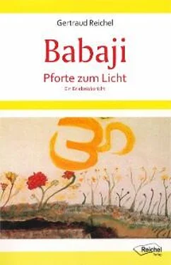 Gertraud Reichel Babaji - Pforte zum Licht обложка книги