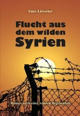 Emin Liebscher Flucht aus dem wilden Syrien обложка книги