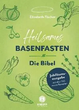 Elisabeth Fischer Heilsames Basenfasten – Die Bibel обложка книги