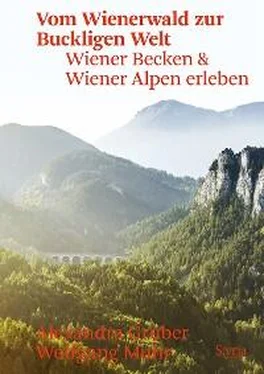 Alexandra Gruber Vom Wienerwald zur Buckligen Welt обложка книги