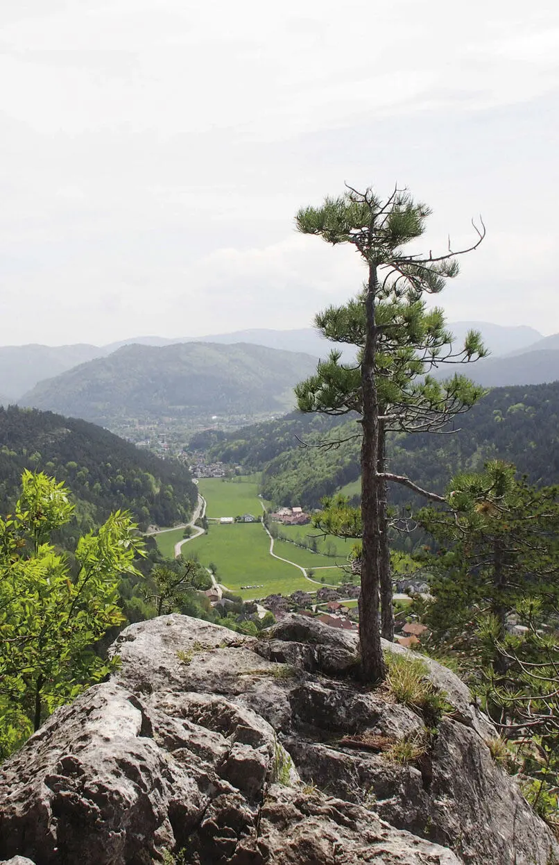 Vom Wienerwald zur Buckligen Welt Wiener Becken Wiener Alpen erleben - фото 1