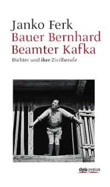 Janko Ferk Bauer Bernhard Beamter Kafka обложка книги