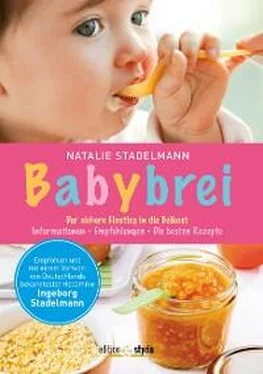 Natalie Stadelmann Babybrei обложка книги