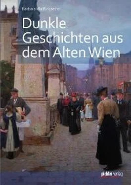 Barbara Wolflingseder Dunkle Geschichten aus dem alten Wien обложка книги