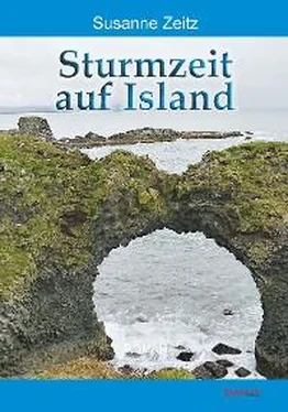 Susanne Zeitz Sturmzeit auf Island обложка книги