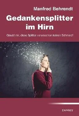 Manfred Behrendt Gedankensplitter im Hirn обложка книги