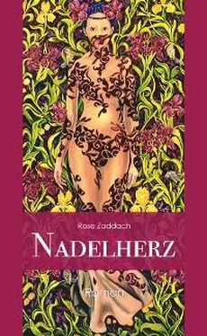 Rose Zaddach Nadelherz обложка книги