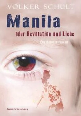 Volker Schult Manila oder Revolution und Liebe обложка книги