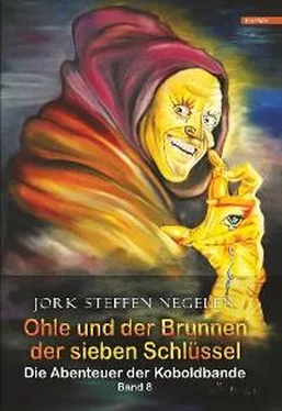 Jork Steffen Negelen Ohle und der Brunnen der sieben Schlüssel: Die Abenteuer der Koboldbande (Band 8) обложка книги