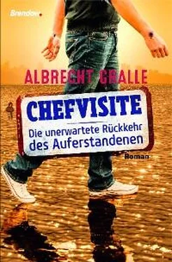 Albrecht Gralle Chefvisite. Die unerwartete Rückkehr des Auferstandenen обложка книги