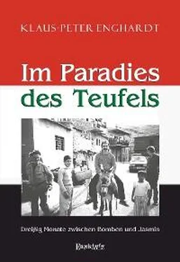 Klaus-Peter Enghardt Im Paradies des Teufels обложка книги