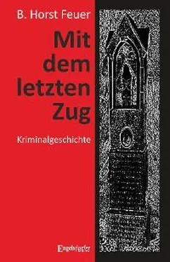 B. Horst Feuer Mit dem letzten Zug обложка книги