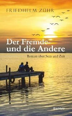 Friedhelm Zühr Der Fremde und die Andere обложка книги