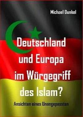 Michael Dunkel Deutschland und Europa im Würgegriff des Islam? обложка книги