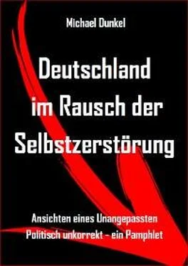 Michael Dunkel Deutschland im Rausch der Selbstzerstörung обложка книги