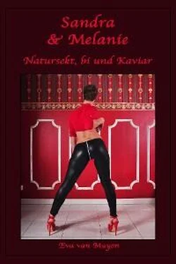 Eva van Mayen Sandra & Melanie - Natursekt, bi und Kaviar обложка книги