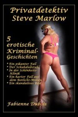 Fabienne Dubois Privatdetektiv Steve Marlow - 5 erotische Kriminalgeschichten обложка книги