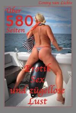 Conny van Lichte Über 580 Seiten Erotik, Sex und zügellose Lust обложка книги