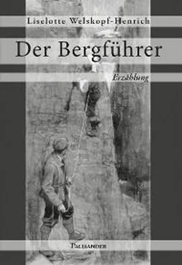 Liselotte Welskopf-Henrich Der Bergführer обложка книги