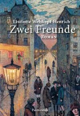 Liselotte Welskopf-Henrich Zwei Freunde обложка книги