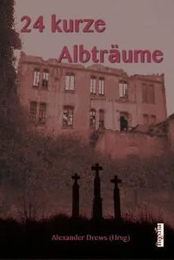 Неизвестный Автор 24 kurze Albträume обложка книги