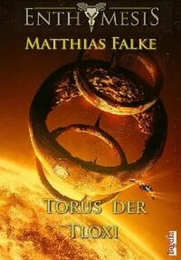 Matthias Falke Torus der Tloxi обложка книги