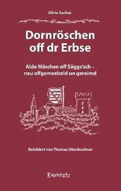 Silvia Sachse Dornröschen off dr Erbse обложка книги