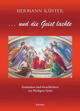 Hermann Küster ... und die Geist lachte обложка книги