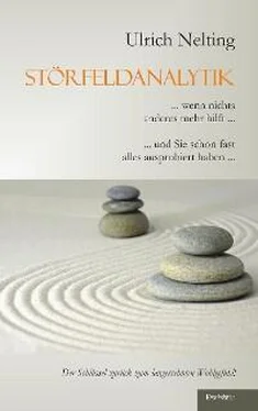 Ulrich Nelting Störfeldanalytik обложка книги