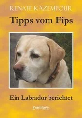 Renate Kazempour - Tipps vom Fips