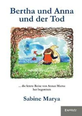 Sabine Marya Bertha und Anna und der Tod обложка книги