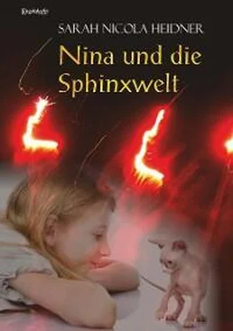 Sarah Nicola Heidner Nina und die Sphinxwelt обложка книги