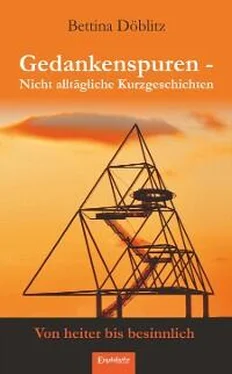 Bettina Döblitz Gedankenspuren – Nicht alltägliche Kurzgeschichten von heiter bis besinnlich обложка книги