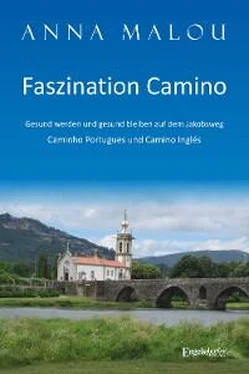 Anna Malou Faszination Camino - Gesund werden und gesund bleiben auf dem Jakobsweg обложка книги