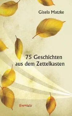 Gisela Matzke 75 Geschichten aus dem Zettelkasten обложка книги