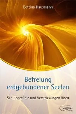 Bettina Hausmann Befreiung erdgebundener Seelen обложка книги