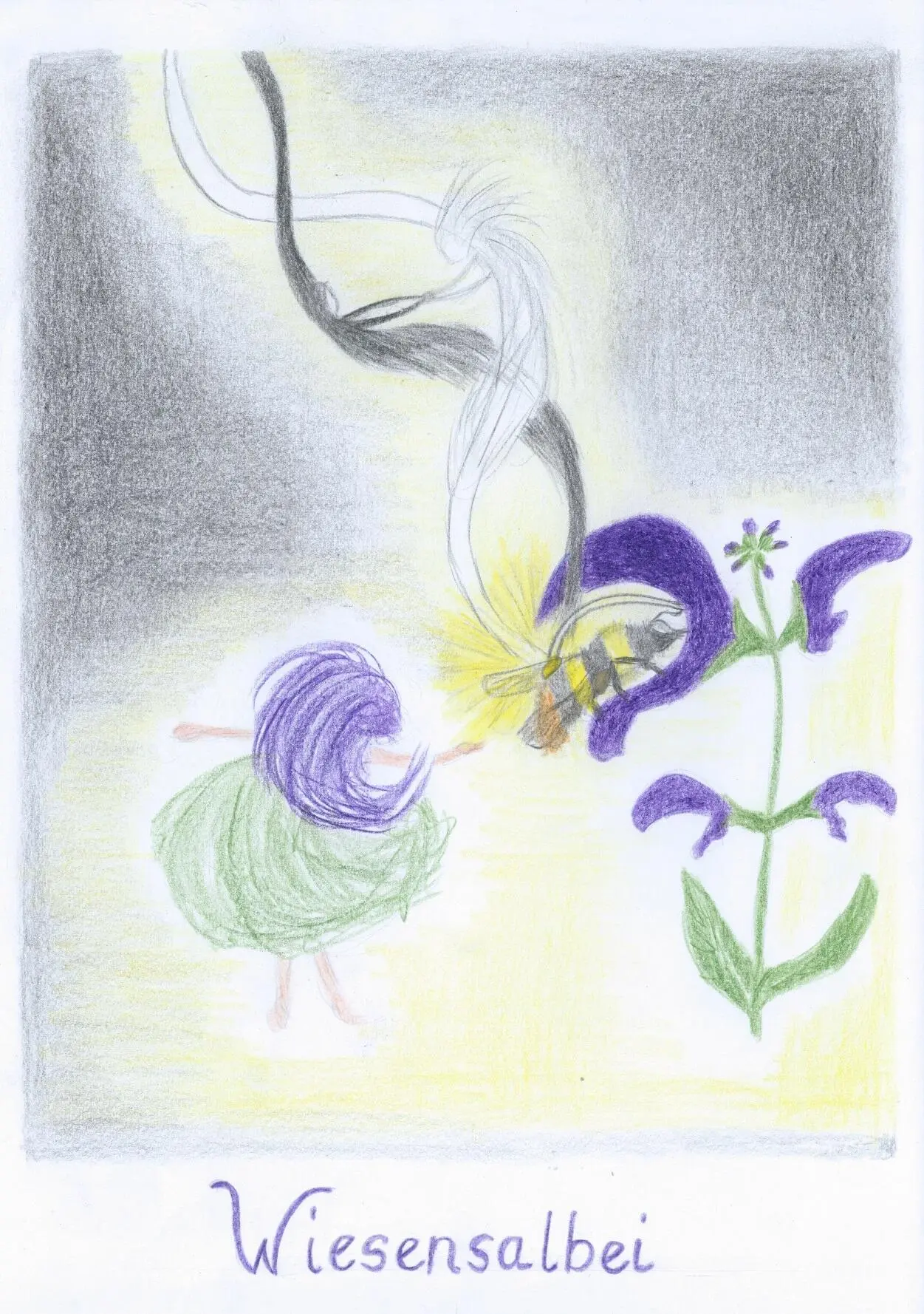 16 Der Wiesensalbei die himmlische Hochzeit Zur Übersicht Zur Beschreibung - фото 65