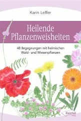 Karin Leffer - Heilende Pflanzenweisheiten