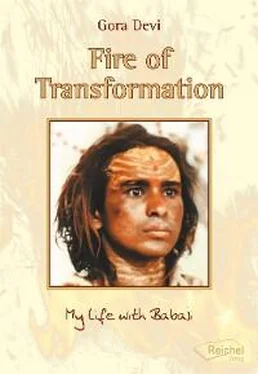 Gora Devi Fire of Transformation обложка книги