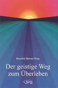 Brunhild Börner-Kray Der geistige Weg zum Überleben обложка книги