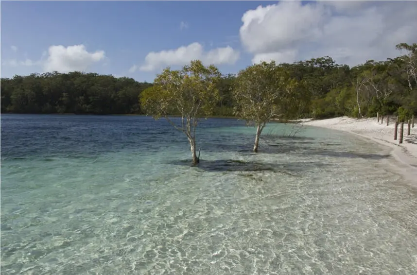 Einsamkeit am Lake McKenzie Lake McKenzie Die einzige Chance den Lake - фото 23