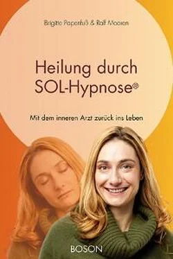 Brigitte Papenfuß Heilung durch SOL-Hypnose обложка книги