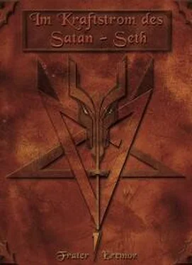 Frater Eremor Im Kraftstrom des Satan-Seth обложка книги