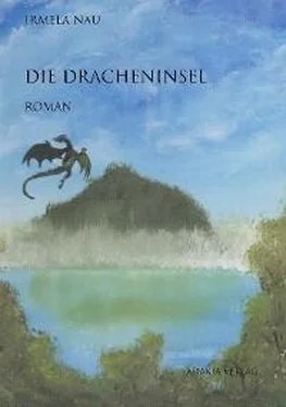 Irmela Nau Die Dracheninsel обложка книги